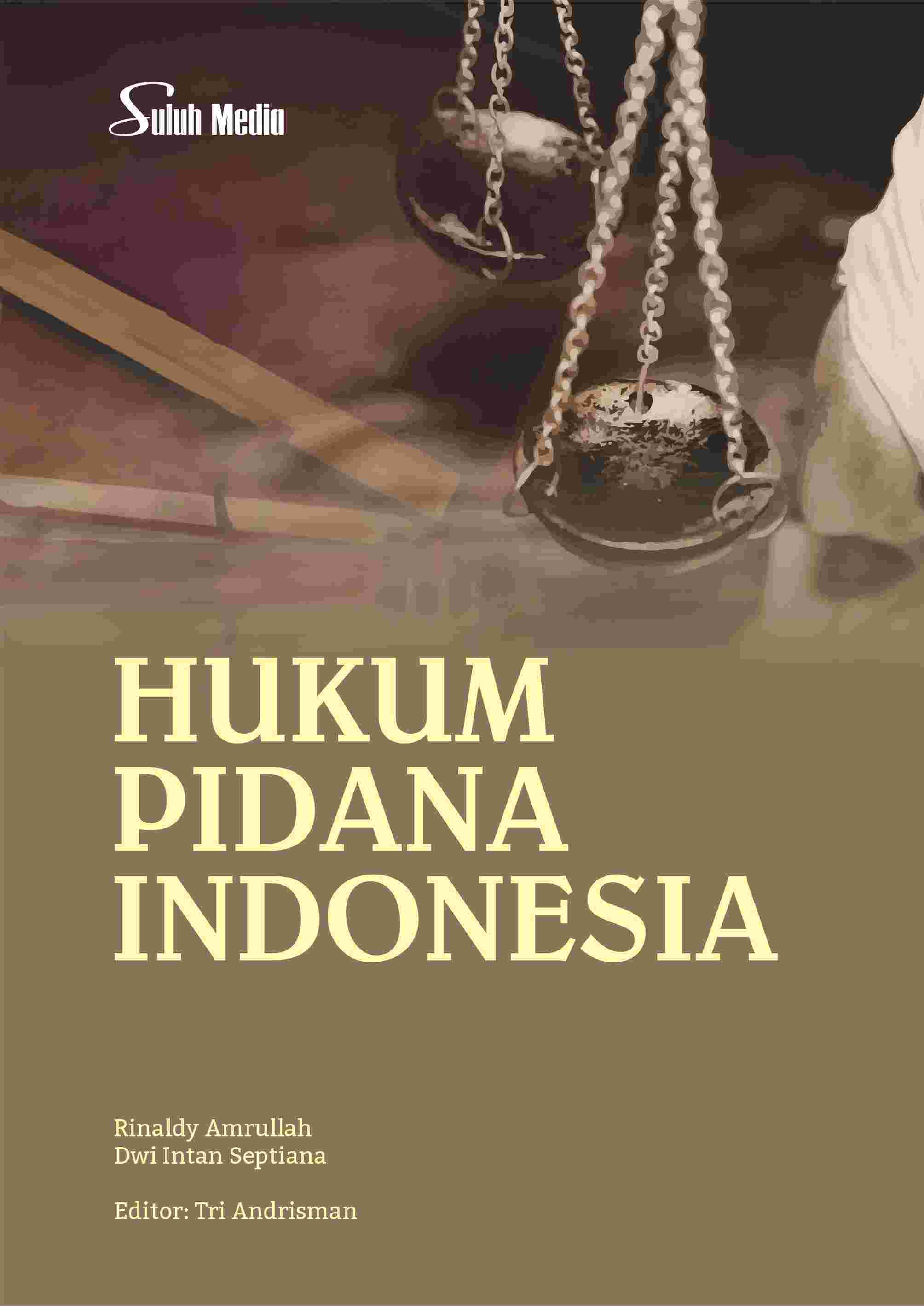 Sampul buku Hukum Pidana Indones...